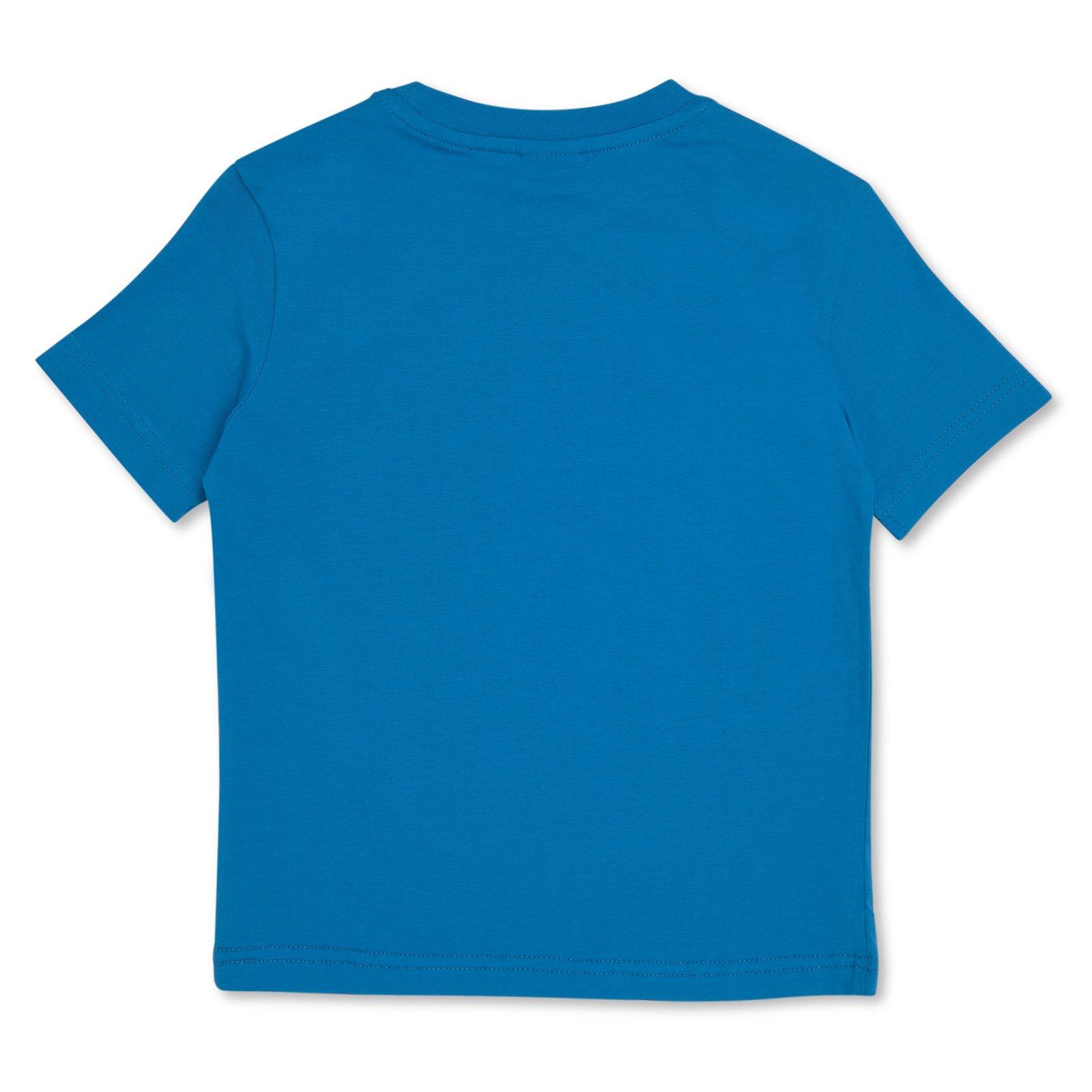 Kid Boys Graphic Turquoise T-Shirt (3256860) | Identity