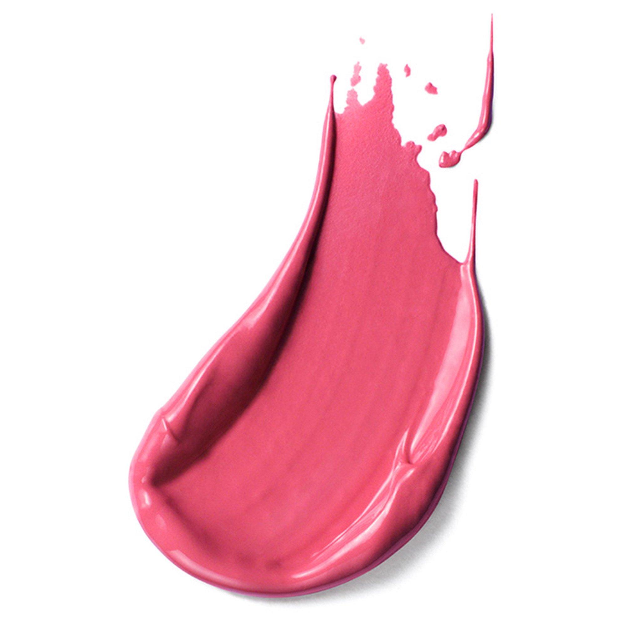 Pure Colour Envy Lipstick (6355008) | Estee Lauder