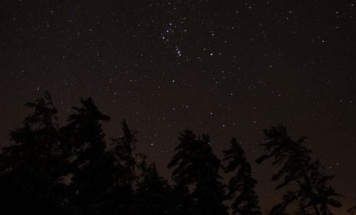 Snowshoeing Under the Stars