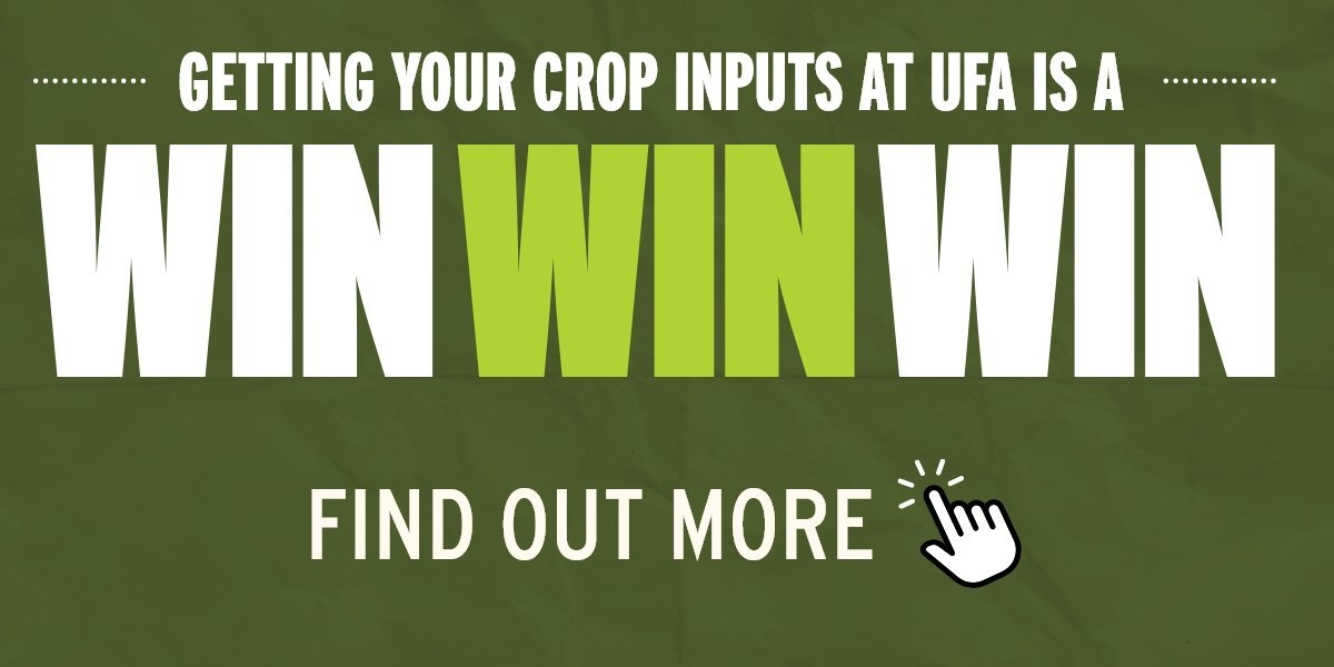 Win Win Win