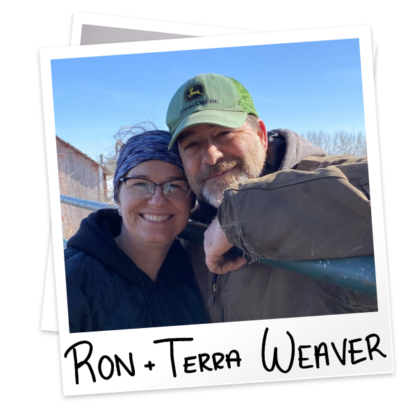 Weavers
