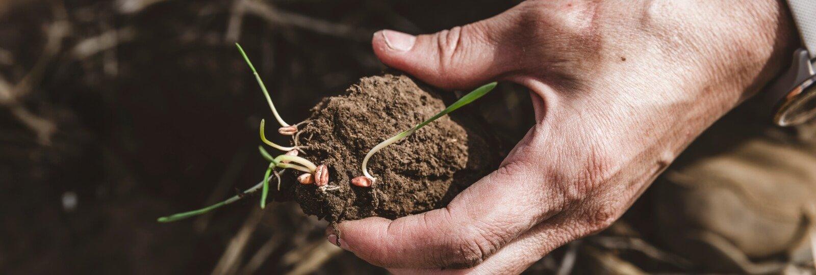 INOCULANTS