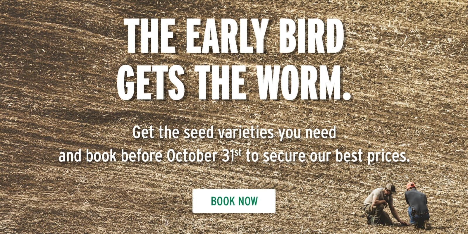 Fall Seed