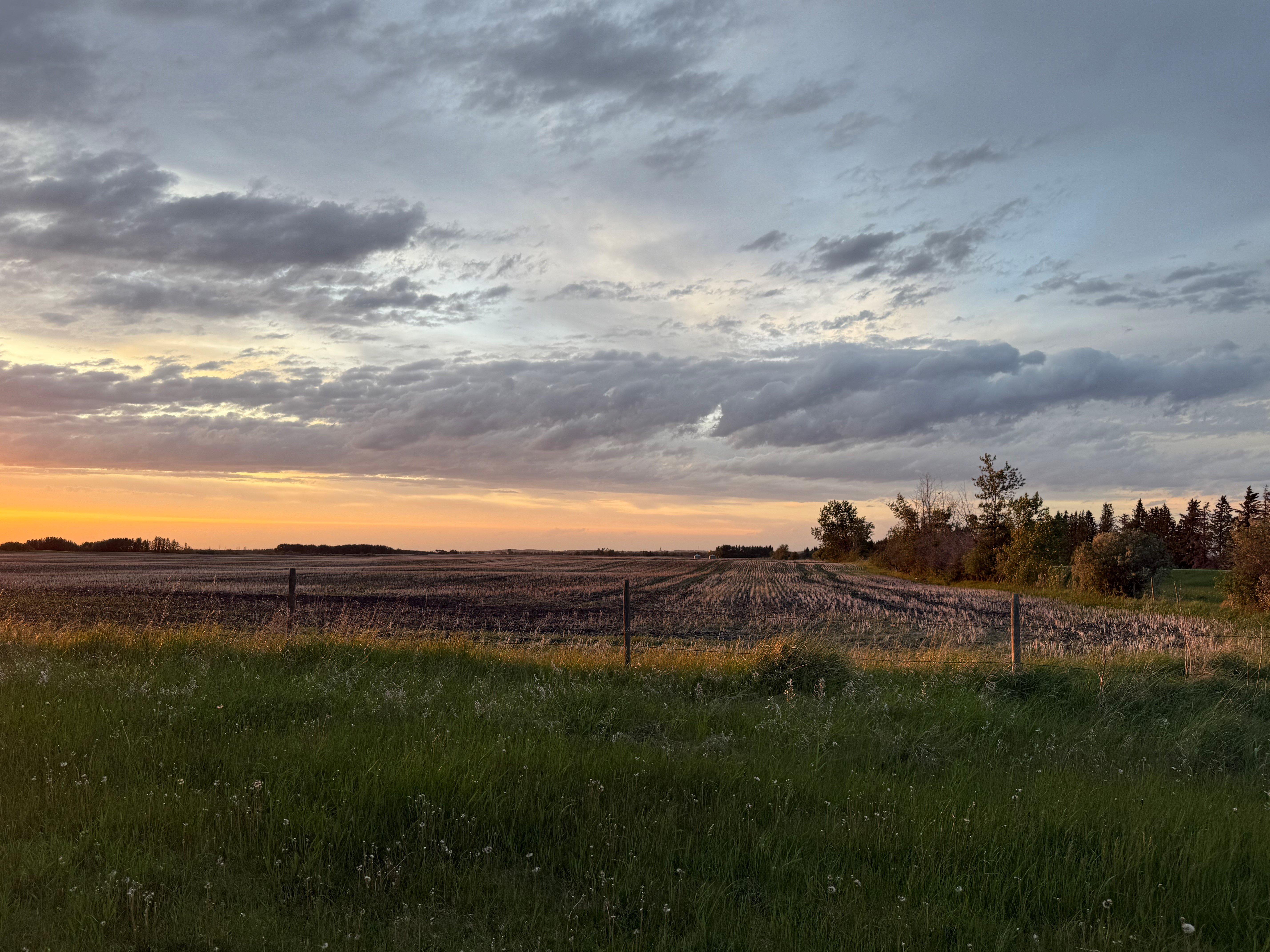 The UFA Foundation 2025 Rural Communities Grant Program