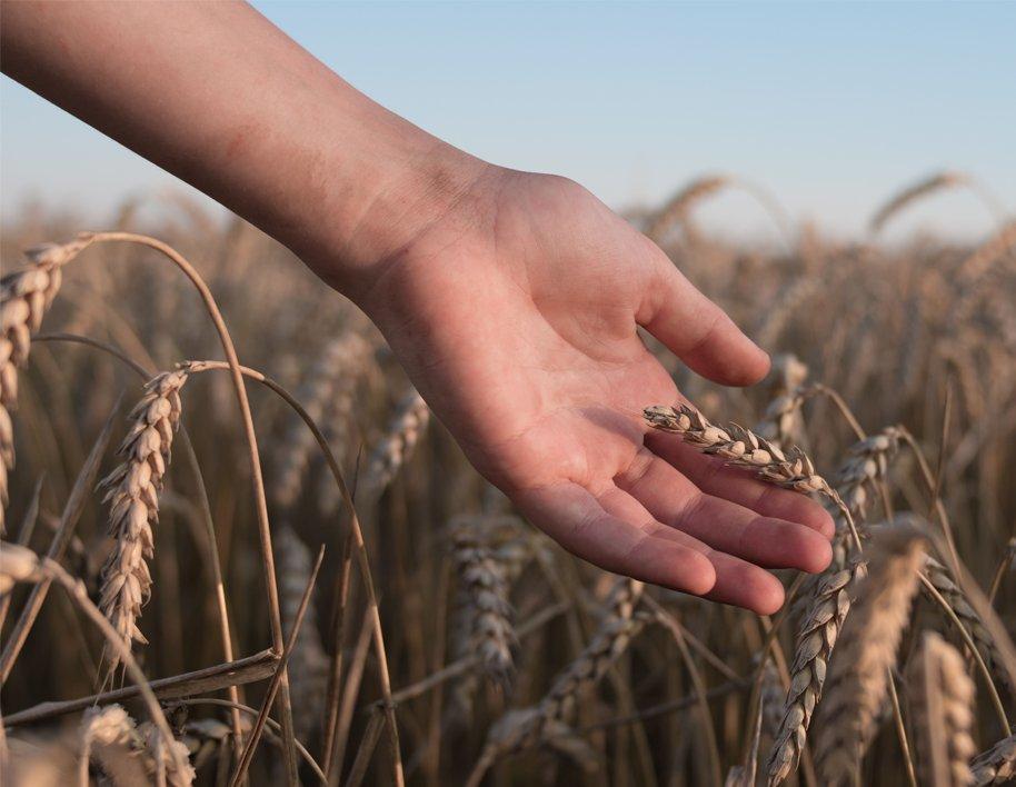 Have your say: Help shape the future of Canadian agriculture