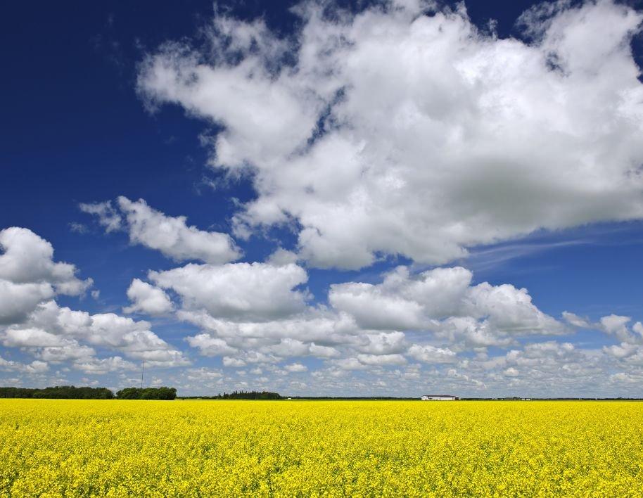 Celebrating Farmer’s Day, Today and Every Day