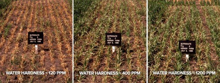 Water Hardness