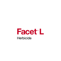 Facet L