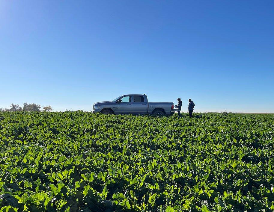 Innovating the Co-operative Way: On-Farm Pilot in Southern Alberta