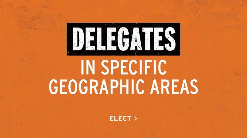 Delegates in Specific Geographic Areas | Elect