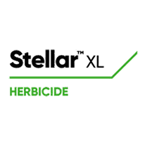 Stellar XL