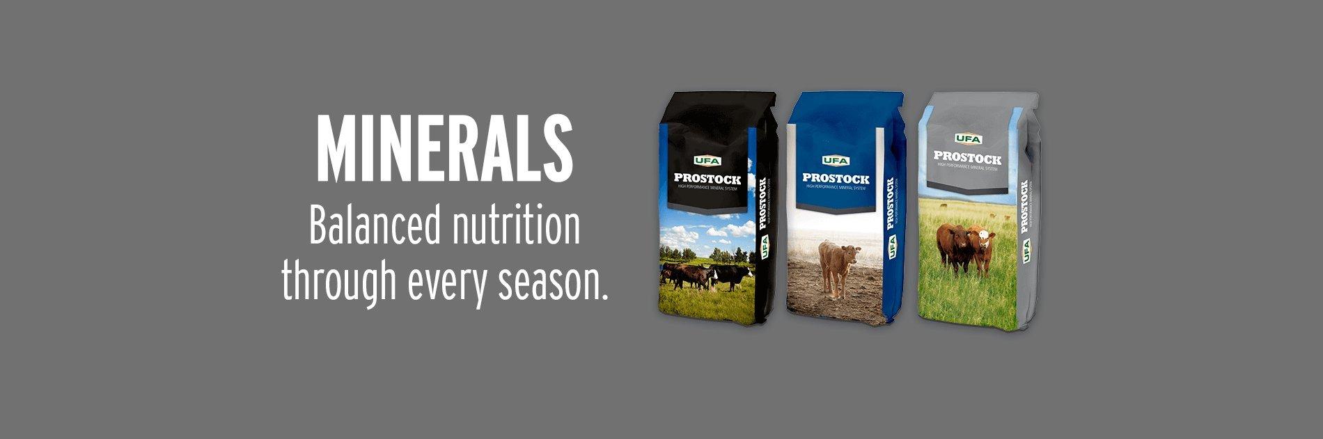 Minerals - Balanced Nutrition for Every Season