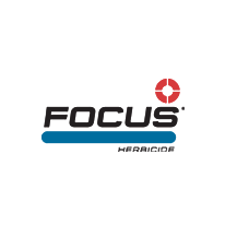 Focus