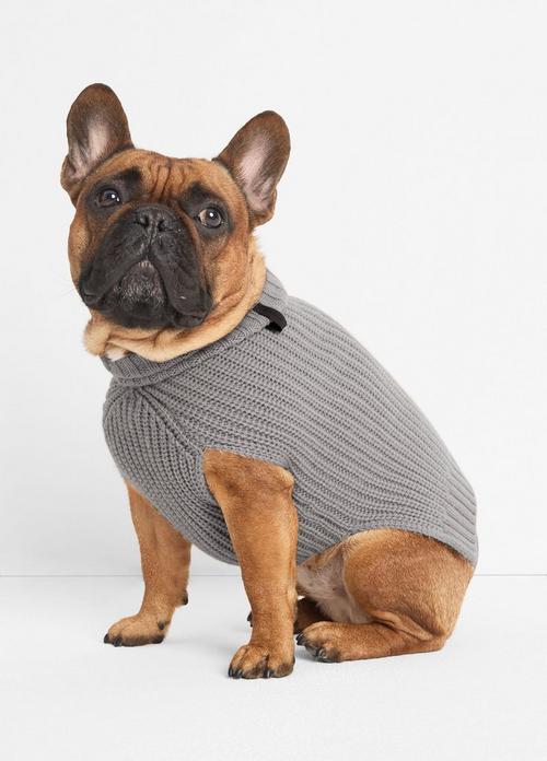 Wool and Cashmere Shaker-Stitch Dog Sweater