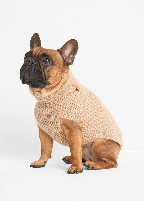 Wool and Cashmere Shaker-Stitch Dog Sweater