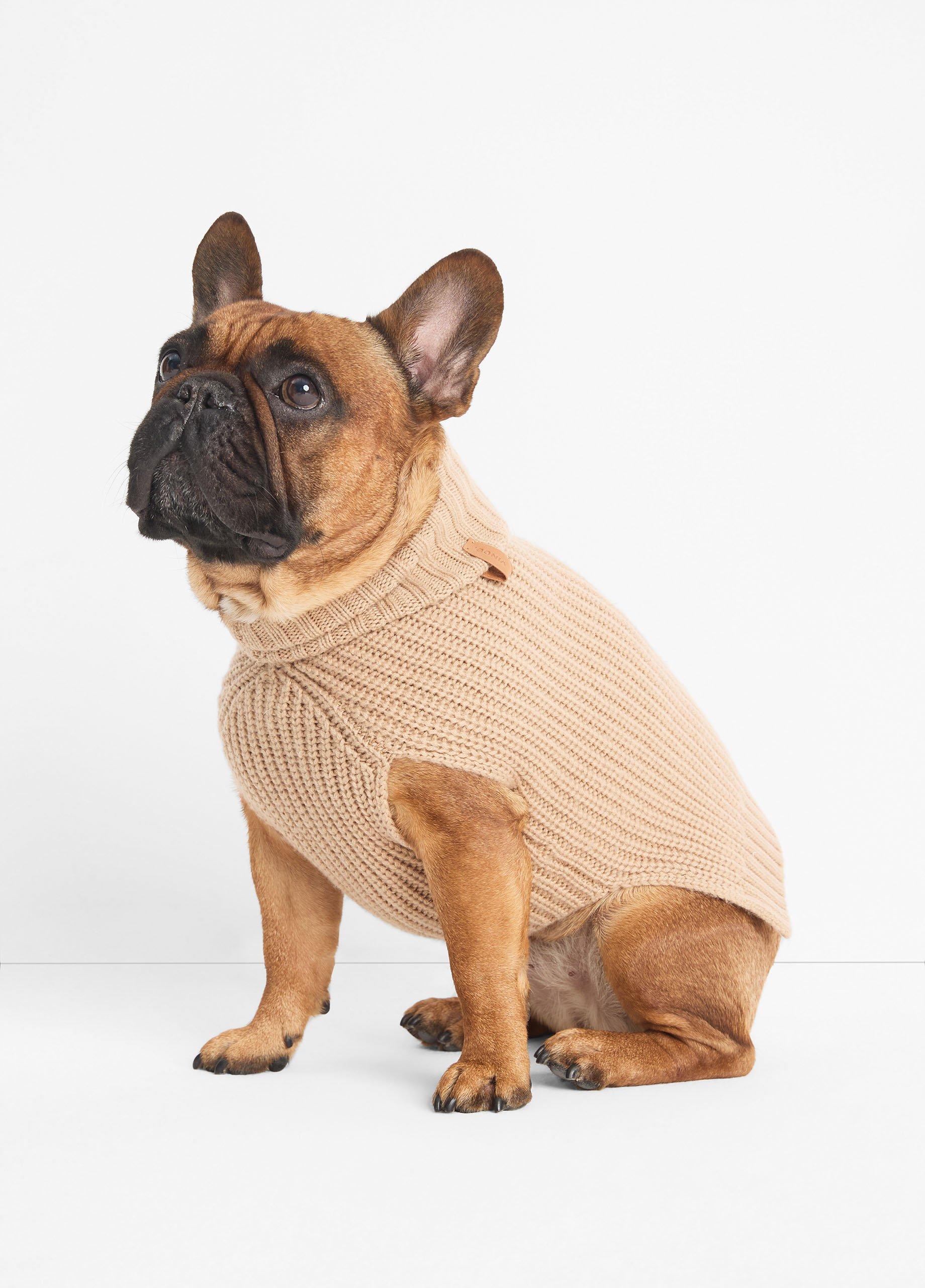 Wool and Cashmere Shaker-Stitch Dog Sweater image number 2