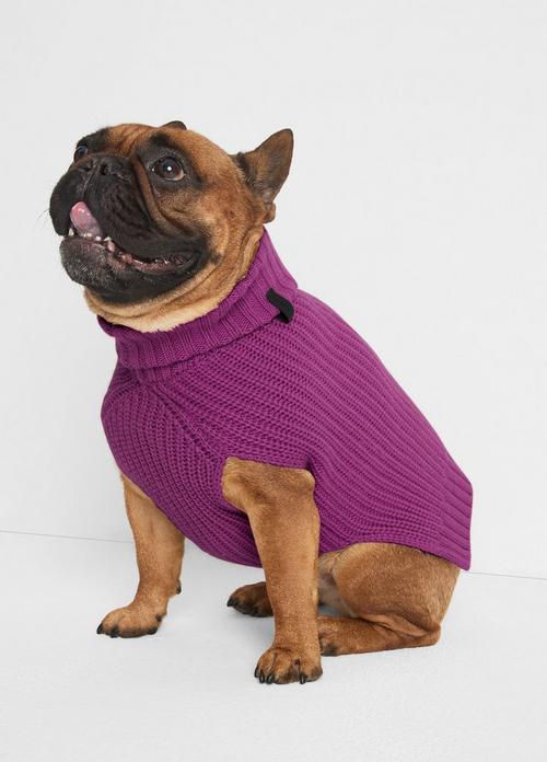 Wool and Cashmere Shaker-Stitch Dog Sweater