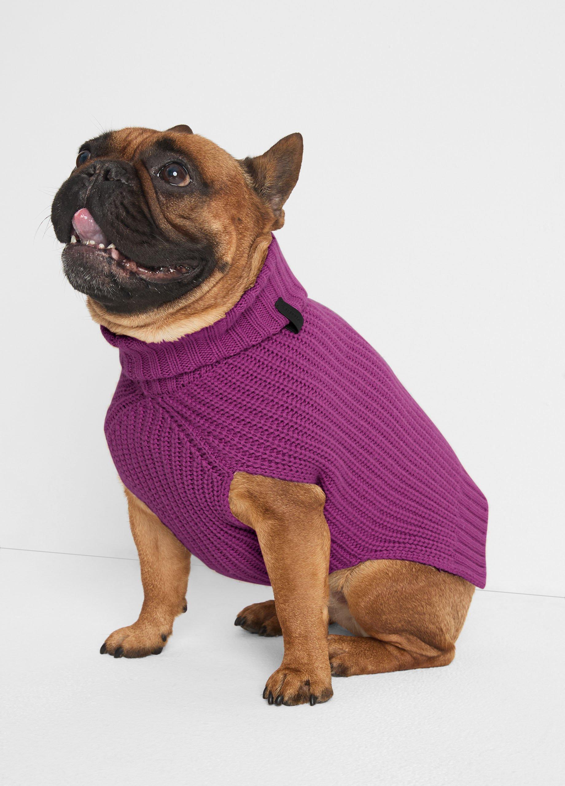 Wool and Cashmere Shaker-Stitch Dog Sweater image number 2