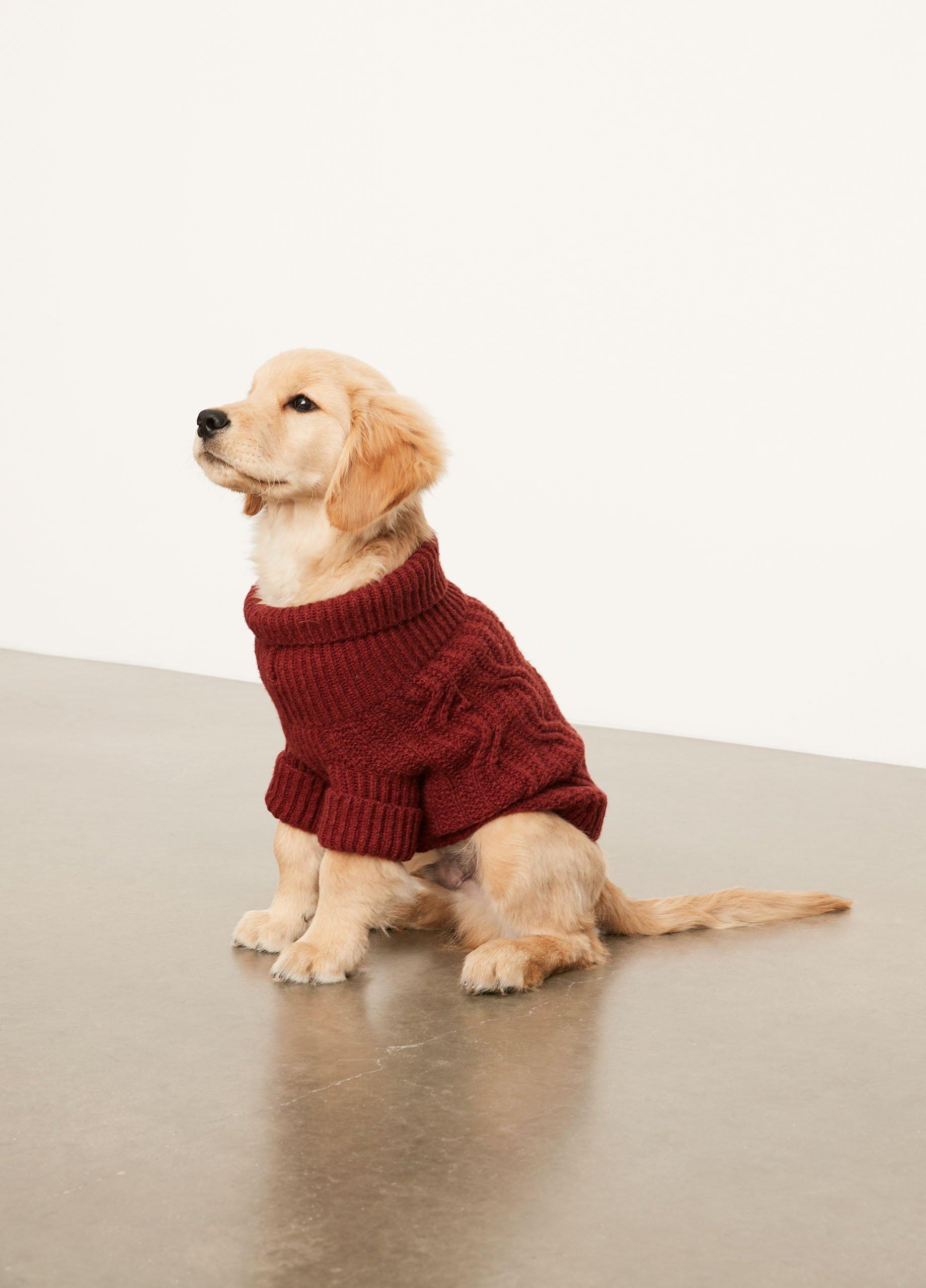 Cable Knit Dog Sweater image number 0