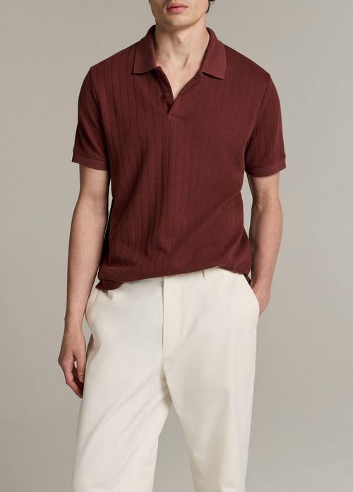 Drop-Needle Stripe Pima Cotton Polo Shirt