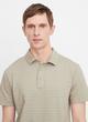 Garment Dye Fleck Stripe Short-Sleeve Polo Shirt image number 1