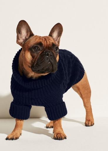 Dog Sweater image number 1