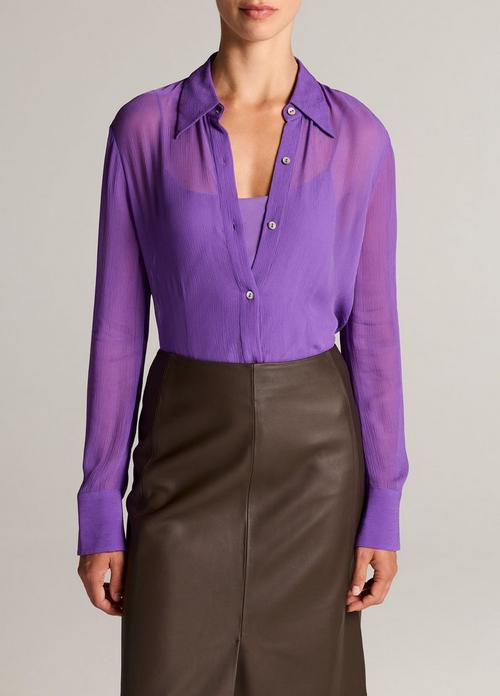 Sheer Crinkled Chiffon Blouse