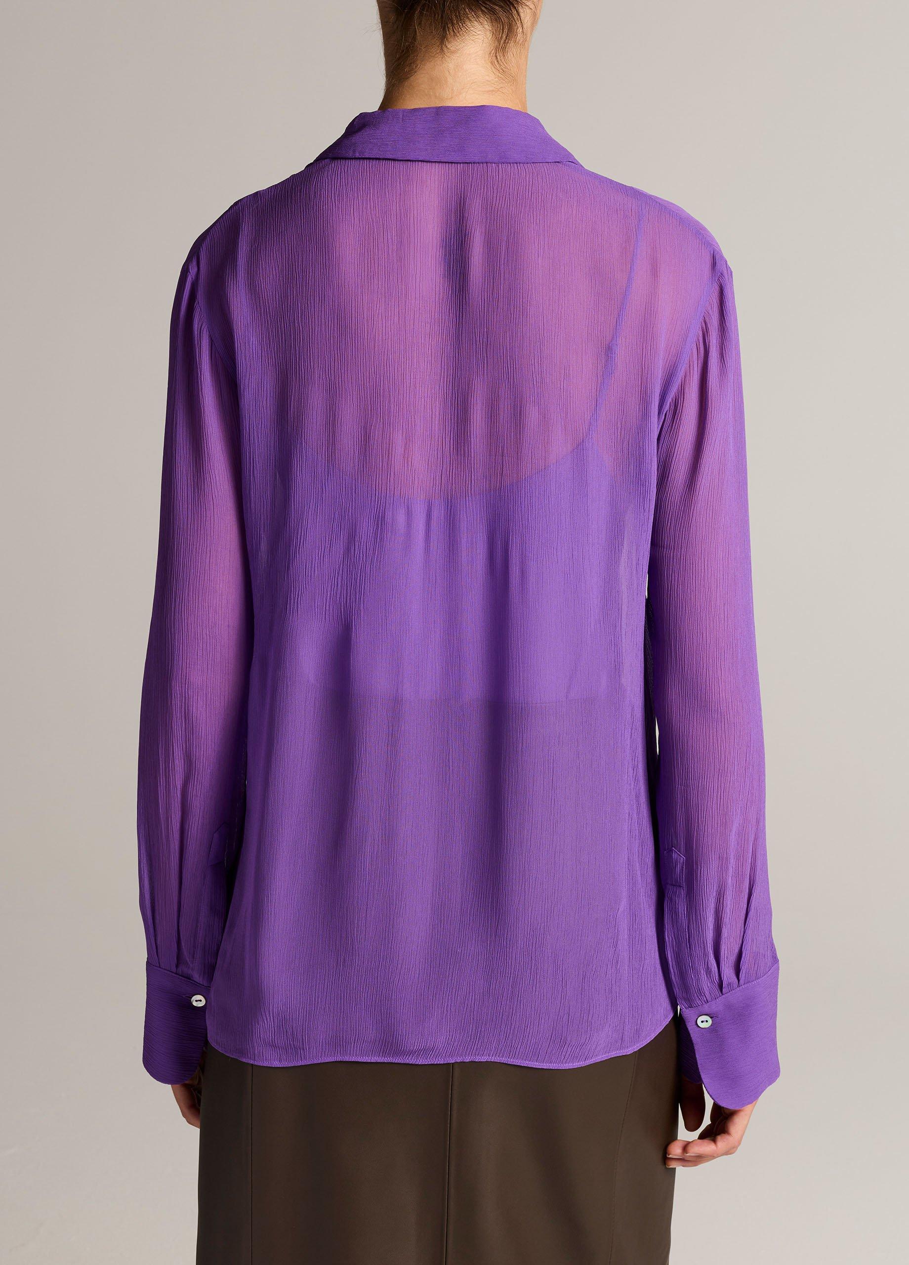 Sheer Crinkled Chiffon Blouse image number 2