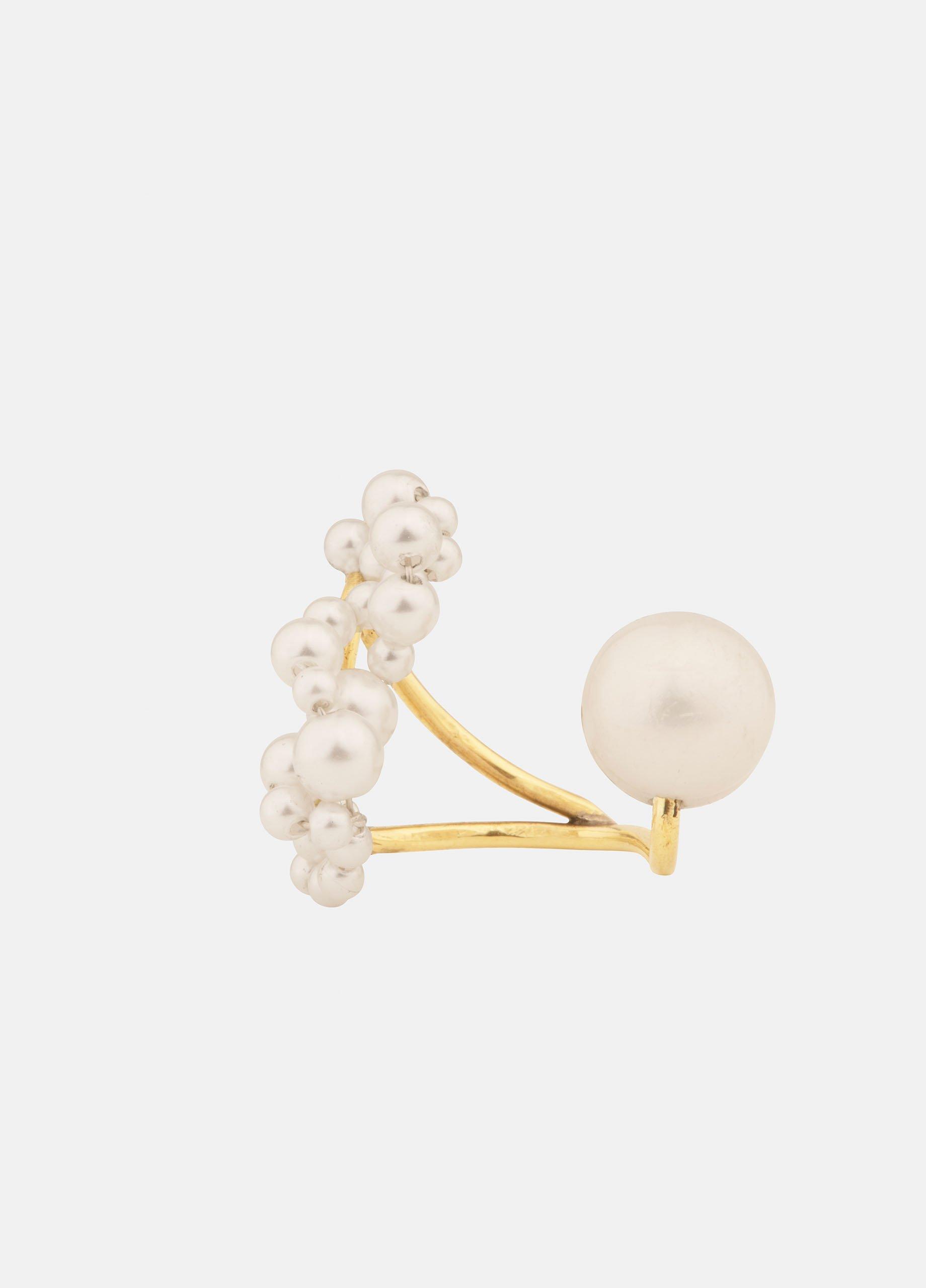 Completedworks Speaking to the Penguins Ring image number 1