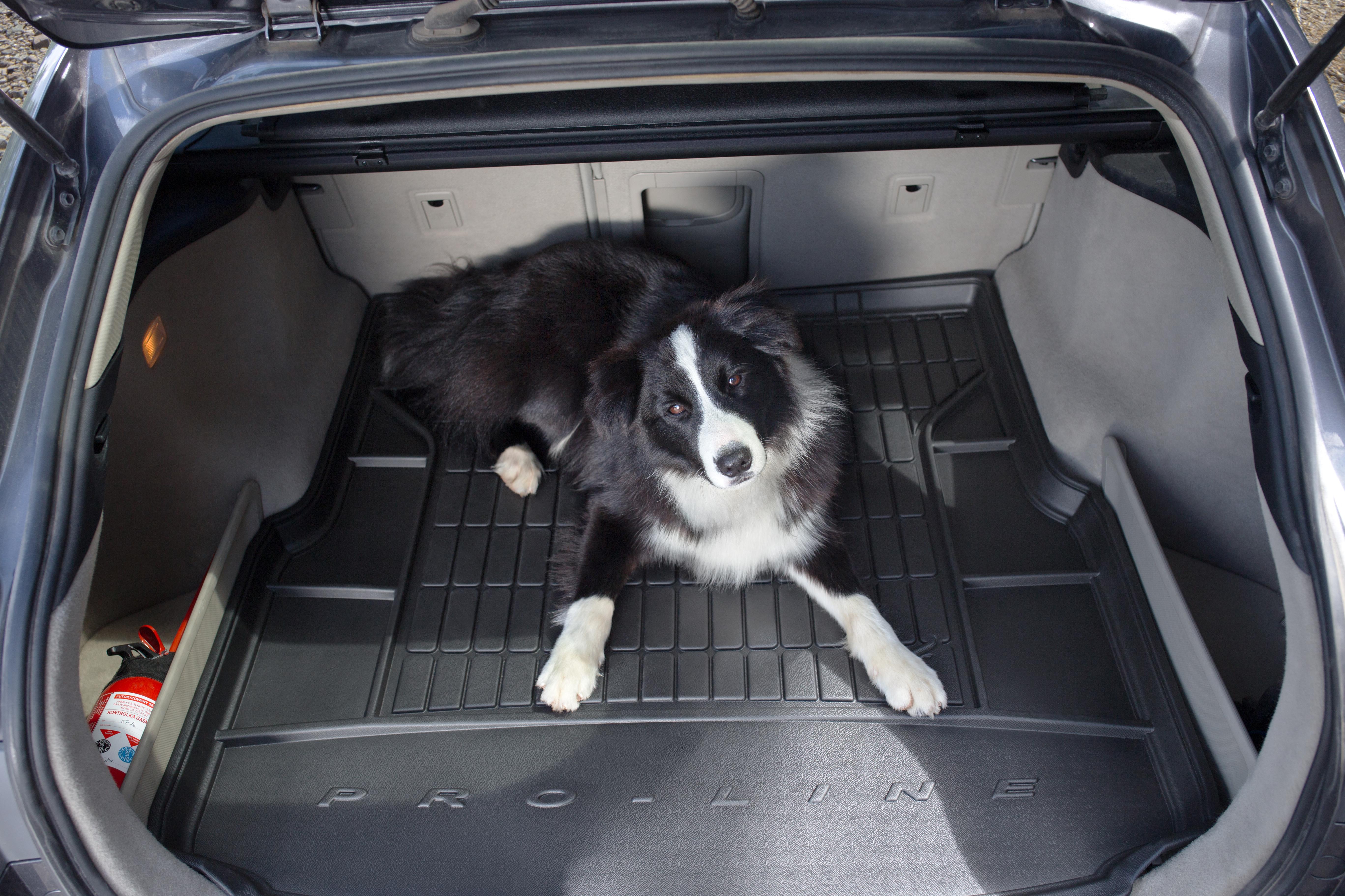 car boot liner halfords