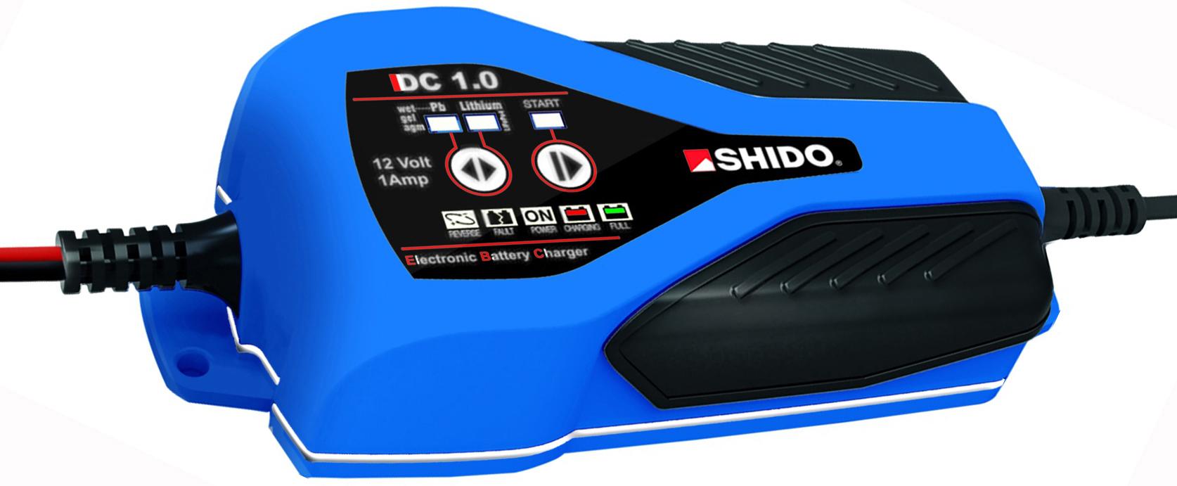 dual 12 volt battery charger