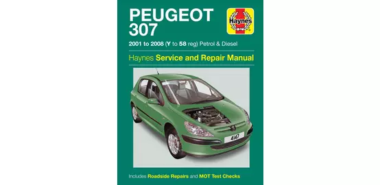Service Peugeot 307