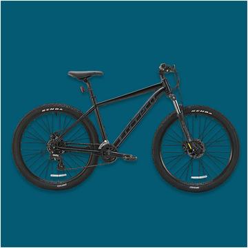 Carrera Blast junior mountain bike