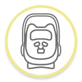 Baby Car Seats