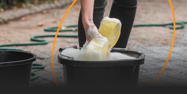 Sponges, Brushes & Buckets