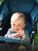 Strollers & Buggies