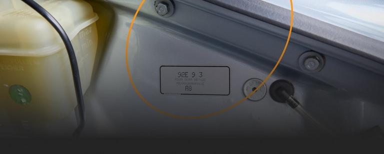 How to find your paint code