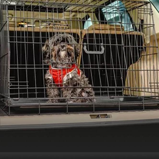 Carriers, Crates & Accessories