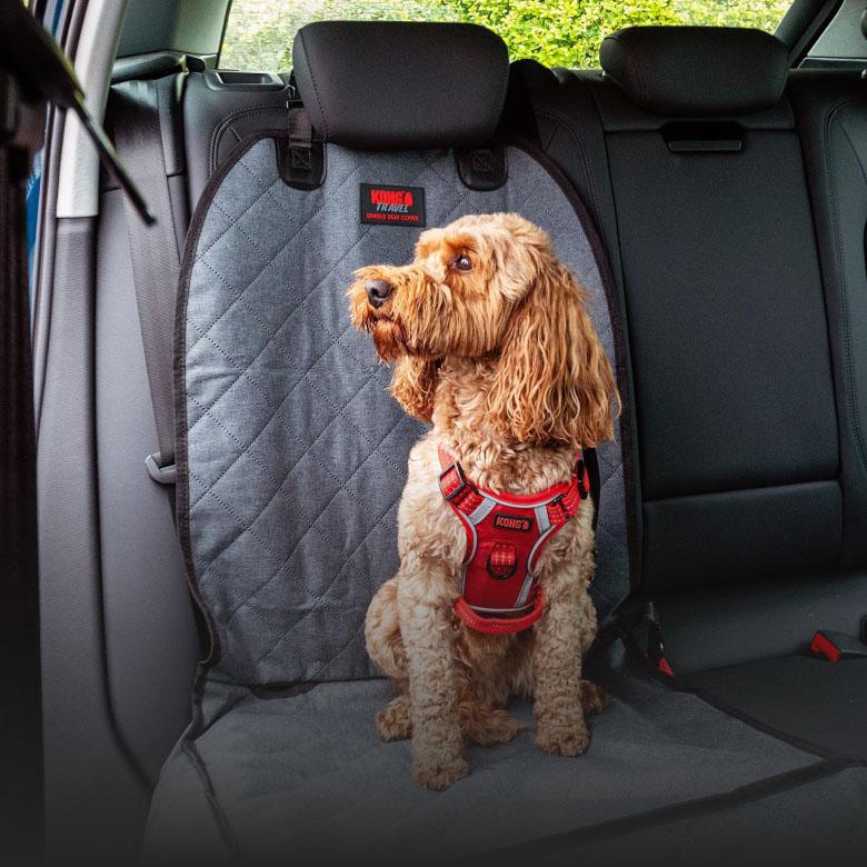 Collars, Leads & Harnesses