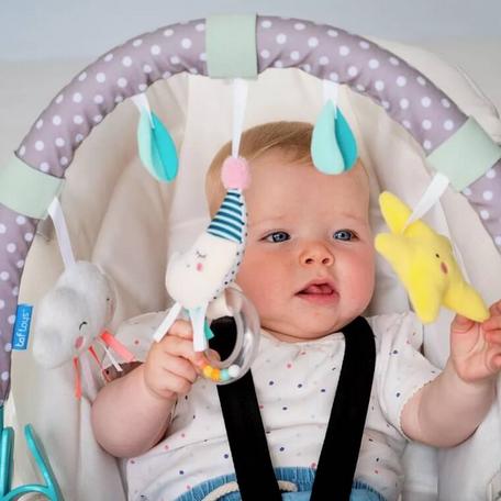 Stroller & Pram Accessories