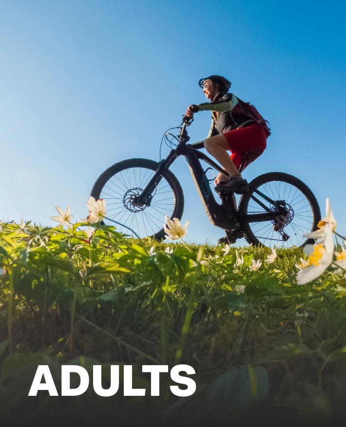 Adults Bikes