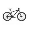 Summer Bike Rides