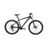 Adult Bikes