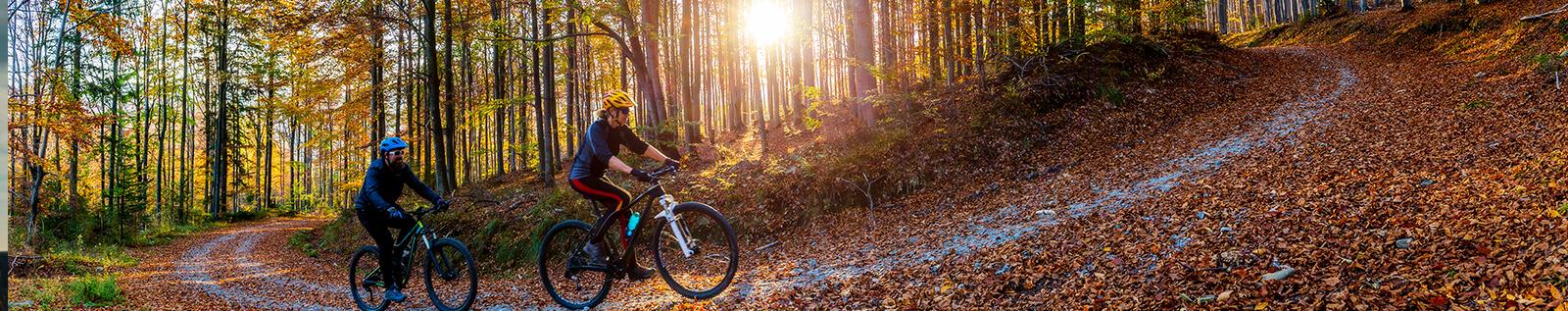 Bikes in best sale stock halfords