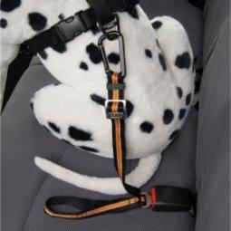 Halfords dog sale car harness