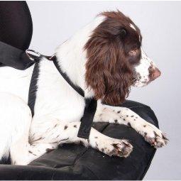 Halfords dog clearance crates