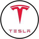 Tesla Tyres