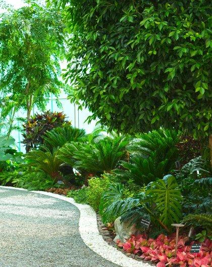 Urban Jungle Mobile Banner