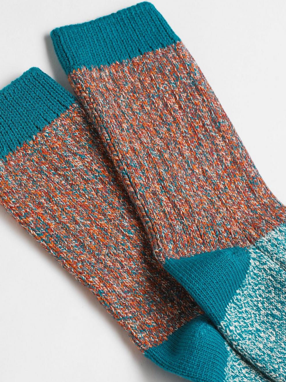 Coachet Sock in TEAL - FLAT BACK