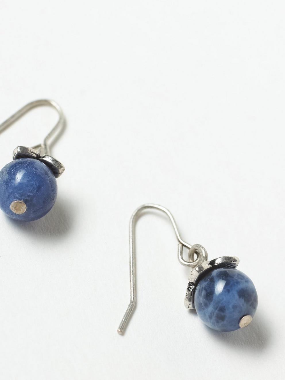 Blueberry Stone Drop Earring in NAVY BLUE - FLAT DETAIL